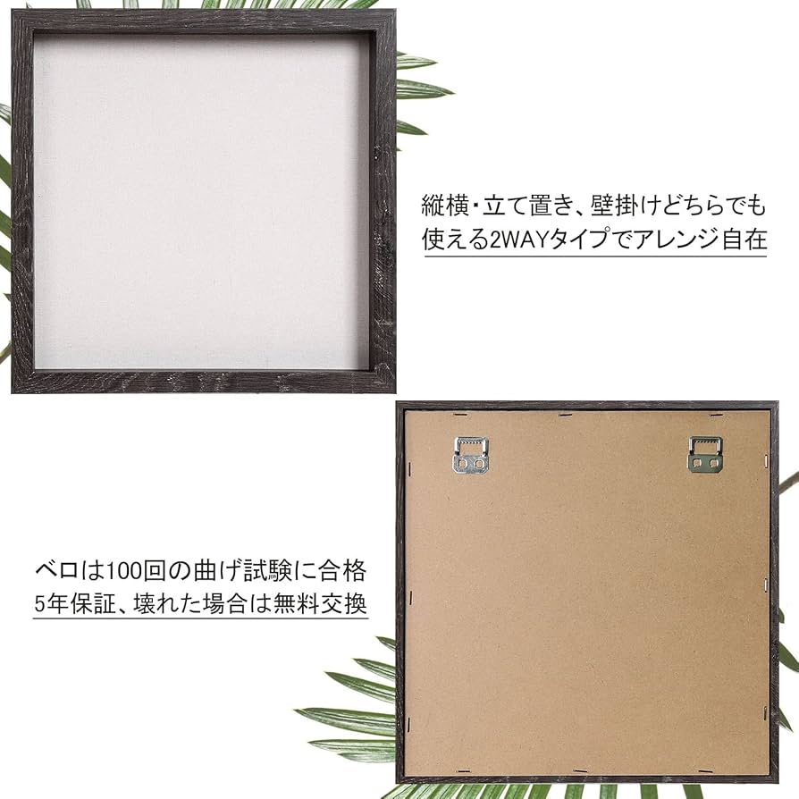 フレーム　額 Amazon.co.jp: Telarana 額縁 写真立て 標本箱 シャドウボックス